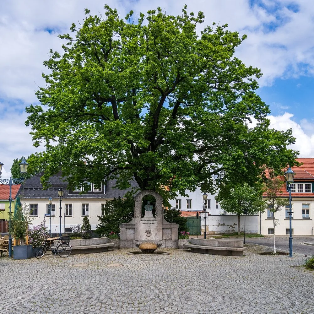 Historischer Marktplatz mit alter Linde in Teltow